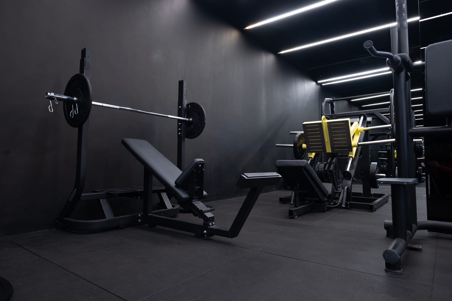 Vue générale musculation